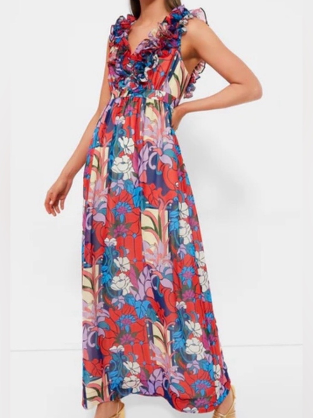 NWT Tuckernuck Climbing Cosmos Priscilla Ruffle Dress